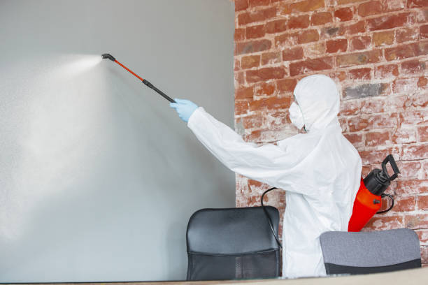  De Soto, MO Mold Removal Pros