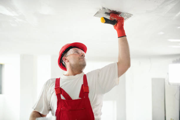 Best Asbestos and Lead Testing During Mold Inspection  in De Soto, MO