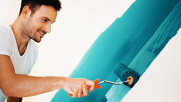 Best Mold Removal for HVAC Installations  in De Soto, MO