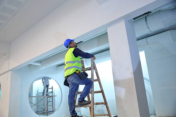 Best Mold Prevention Services  in De Soto, MO